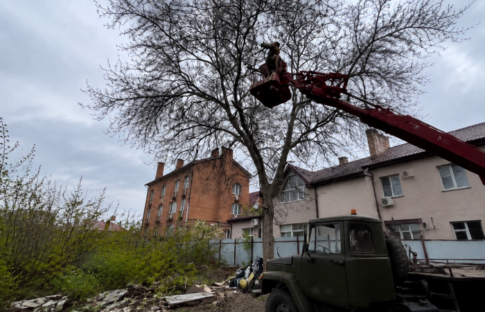 Подготовка участка_5